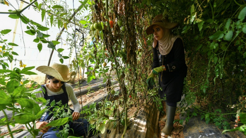 En Algérie, dans un milieu d'hommes, deux pionnières de l'agriculture bio