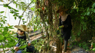 En Algérie, dans un milieu d'hommes, deux pionnières de l'agriculture bio