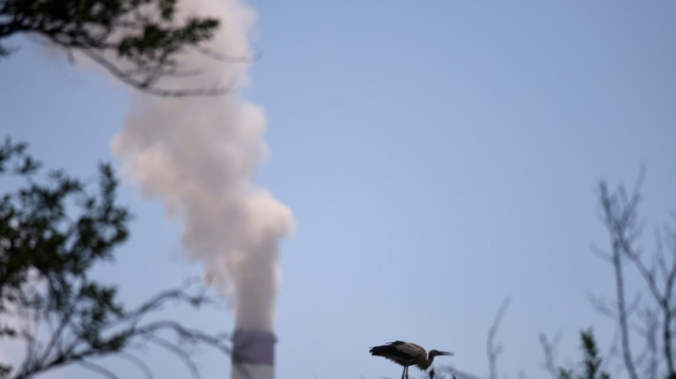 BGH stärkt Rechte von EU-Staaten bei Streitigkeiten mit Energiekonzernen