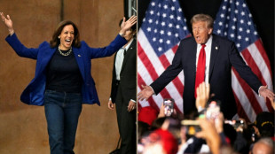 Final US campaign blitz for Harris and Trump