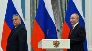 Orban reist trotz breiter Kritik zu Ukraine-Gesprächen mit Putin nach Moskau