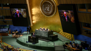 UN to finally adopt high seas treaty