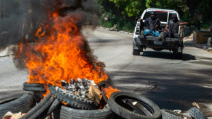 Haïti: au moins 184 personnes tuées selon l'ONU, un "massacre" dénonce Port-au-Prince