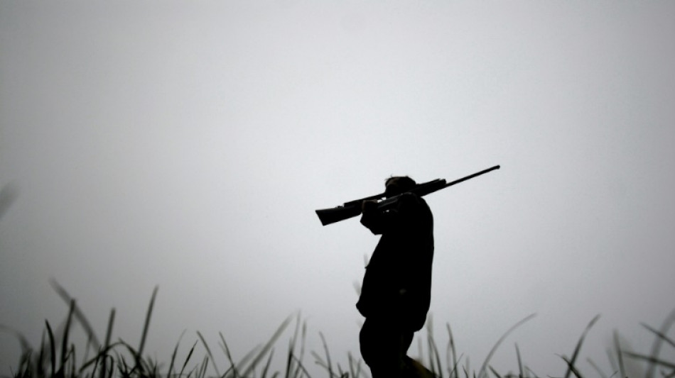 L'interdiction de la chasse à la tourterelle des bois prolongée d'un an