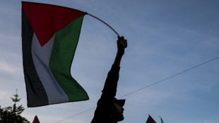 Miles de personas vuelven a manifestarse en apoyo a los palestinos en Europa