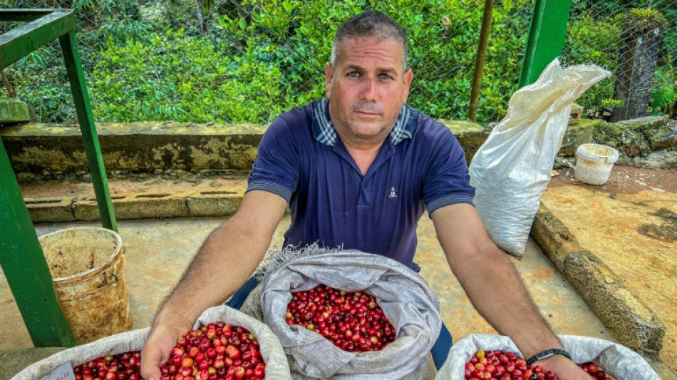 A Cuba, du café haut de gamme pour relancer un secteur en berne