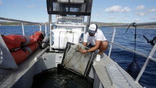 "Cerrar el grifo" del plástico para salvar el Mediterráneo