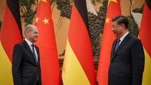 Bundeskanzler Scholz trifft Chinas Präsidenten Xi am Rande des G20-Gipfels