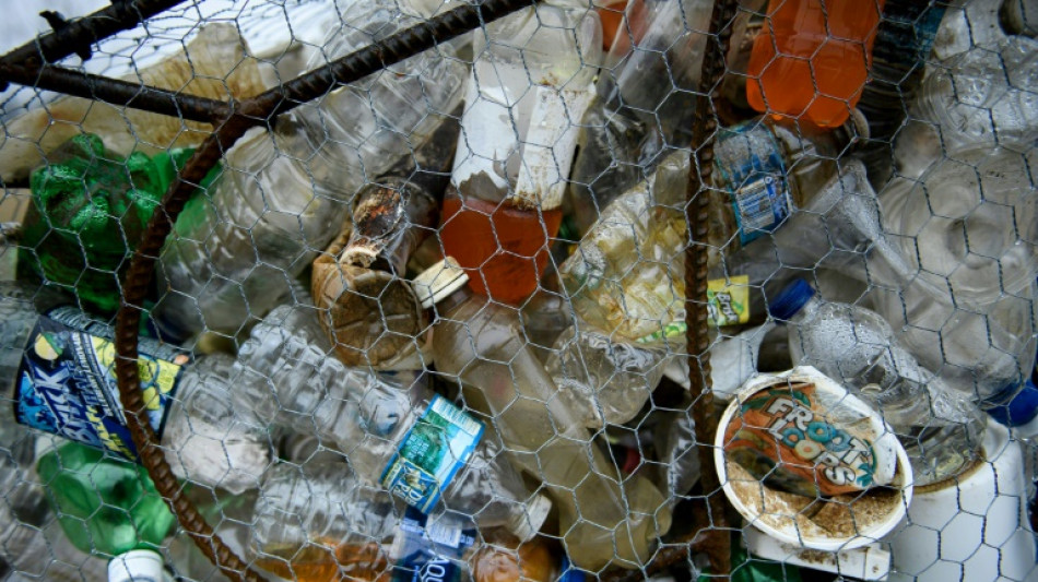 Plastic recycling remains a 'myth': Greenpeace study