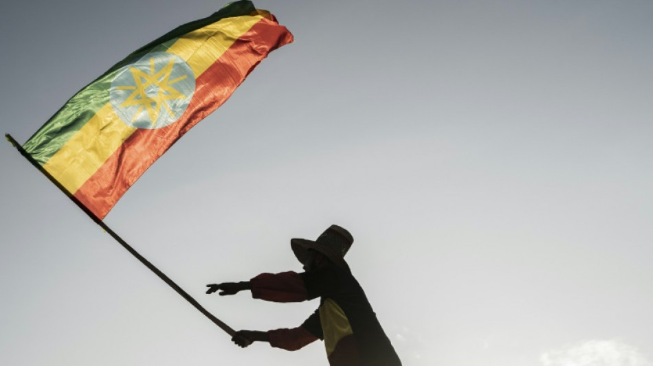 Ethiopia peace talks open in South Africa