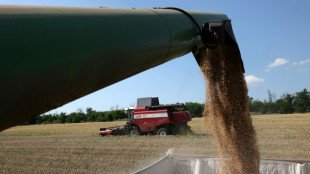 Ucrania exporta cereales vía Croacia