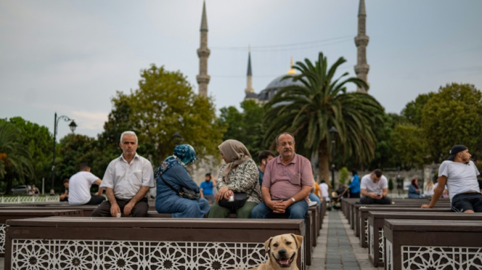 Century on, political fights rage over Turkey's dogs