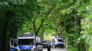 Alerte à la lionne à Berlin, la police sur les dents