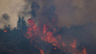 Les feux de forêt extrêmes ont doublé depuis 20 ans dans le monde