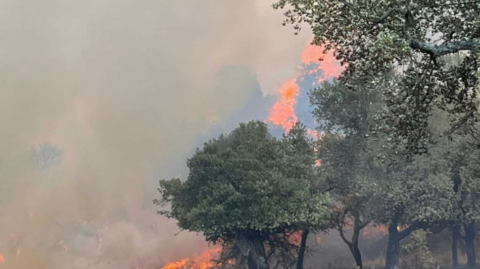 Spento incendio nel Nuorese, più di 800 ettari bruciati