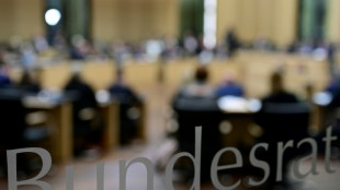 Bundesrat entscheidet am Freitag über Gaspreisbremse