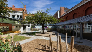 Face au réchauffement climatique, Lille fait sortir les cours d'écoles de l'ère du bitume