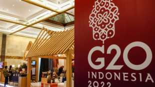 Ukraine set to dominate G20 finance chiefs summit