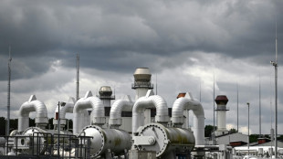 EU signals shifts towards price cap on imported gas