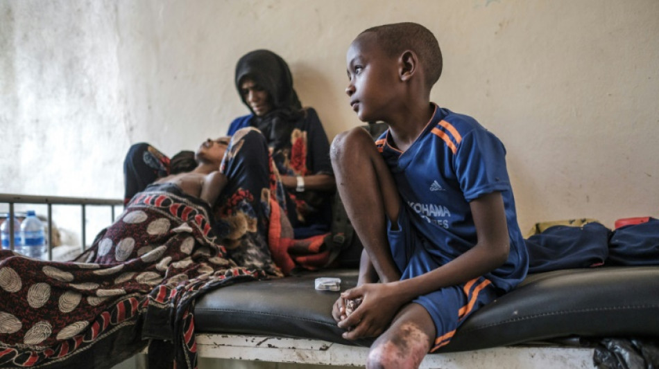 'Afar has been raided': Suffering stalks Ethiopia's forgotten front