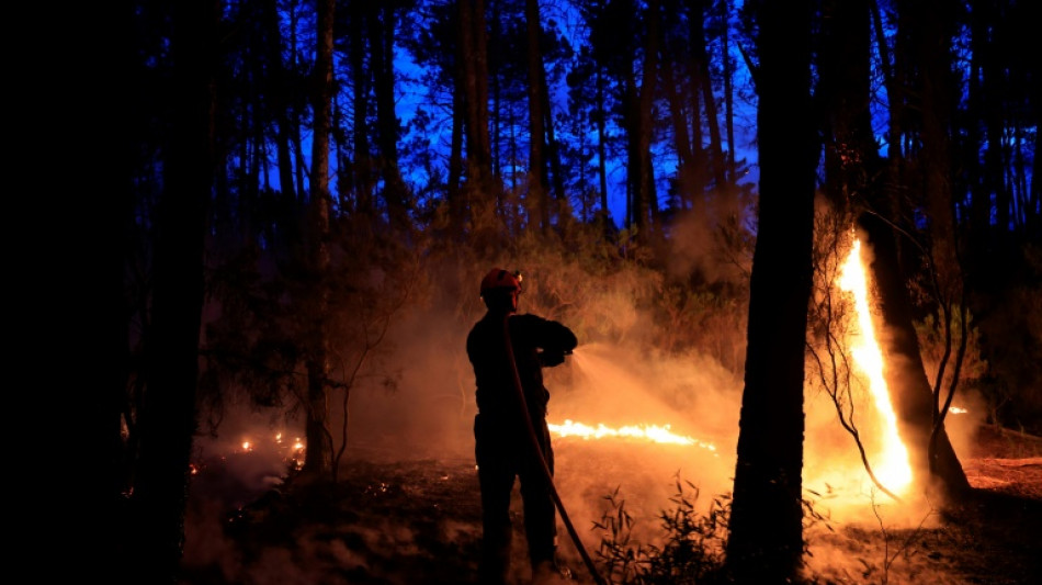 Premier gros incendie de l'année dans le sud de la France: 600 hectares brûlés