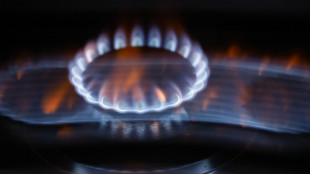 Il gas apre in calo sulla piazza Ttf di Amsterdam a 32,24 euro