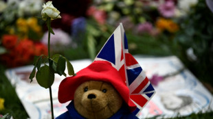 Paddington tributes to queen prove too much to 'bear'