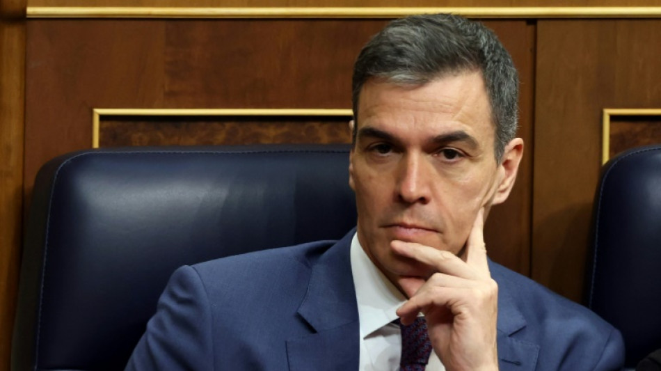 Pedro Sánchez décide de rester à la tête du gouvernement espagnol