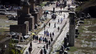 Mic, musei aperti per il ponte, ingresso gratis 3 e 4 novembre