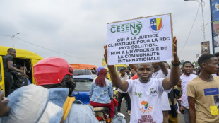 Calls for more funding as pre-COP27 climate talks open in DR Congo