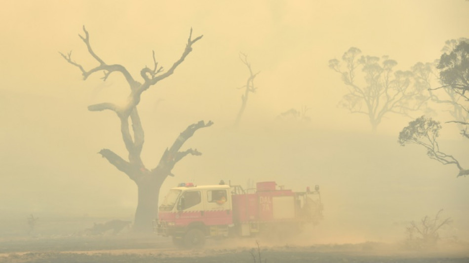 La couche d'ozone dégradée par les feux de brousse en Australie de 2019 et 2020