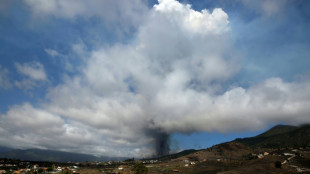 Un an après l'éruption, l'horizon bouché des habitants de La Palma