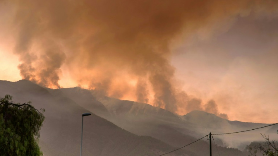 Feuerwehr bekommt Waldbrand im Nordosten von Teneriffa nicht in den Griff