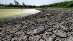 La France de nouveau sous la canicule et la sécheresse prolongée