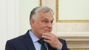 Baerbock: "Irritationen" in der EU über möglichen Besuch Orbans bei Trump