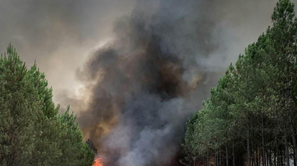 Heat, drought rekindle huge wildfire in southwest France