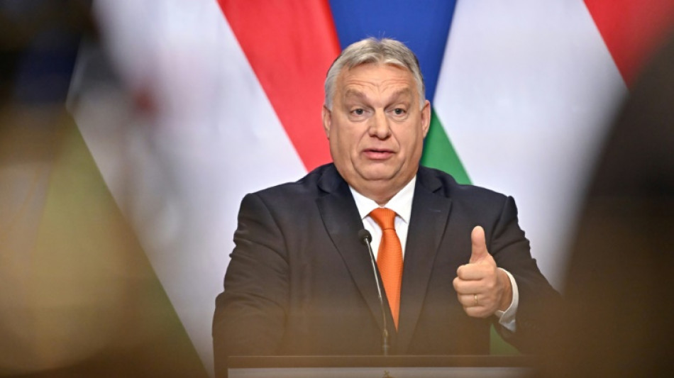 Orban wirft EU "Ungarnfeindlichkeit" vor