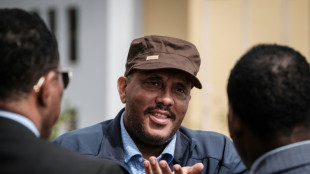 Etiopía nombra a un dirigente del frente rebelde TPLF jefe del gobierno de Tigré