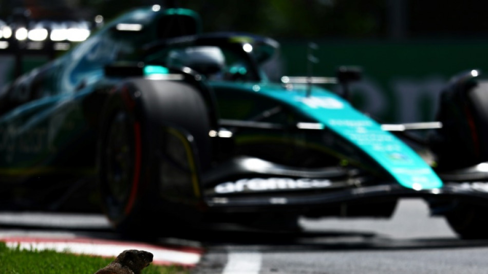 Never mind porpoising, Sainz troubled by groundhog at Canadian GP