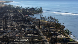 Hawaii announces $4 bn settlement in wildfire lawsuits