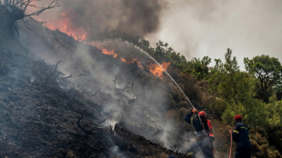 Países da bacia do Mediterrâneo combatem incêndios e o calor