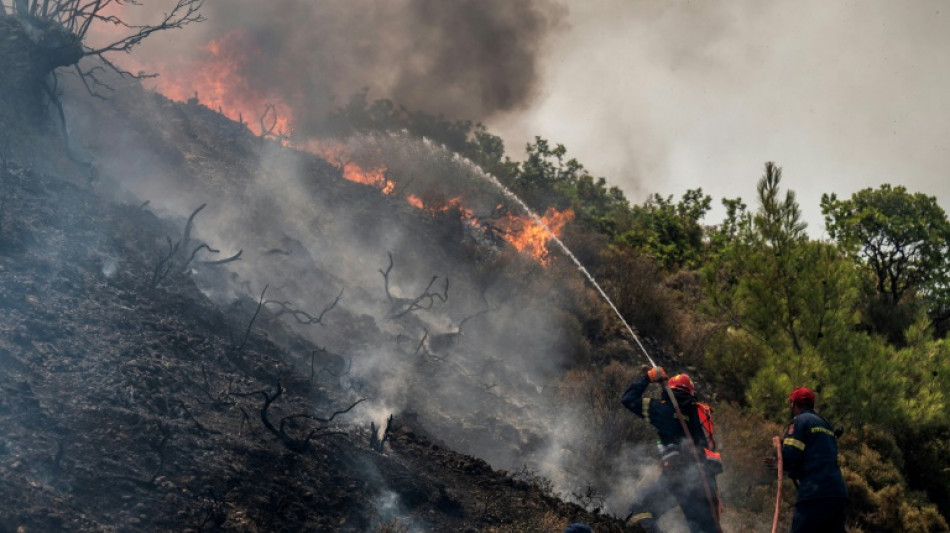 Países da bacia do Mediterrâneo combatem incêndios e calor