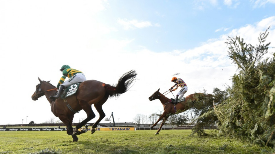 Reformed Grand National in danger of losing 'iconic' status