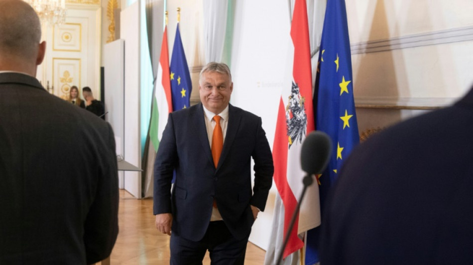 Orban alega "punto de vista cultural" en polémico discurso sobre mezcla de razas