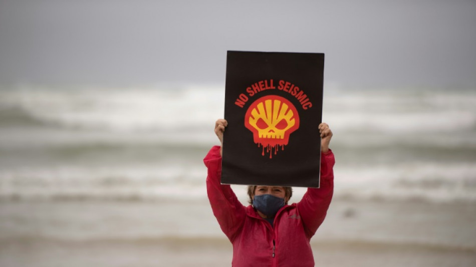 S.African court confirms Shell seismic exploration ban