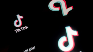 Berliner Polizist darf sich nicht als "Officer" bei Tiktok in Szene setzen