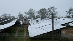 Cuba lance un vaste projet d'énergie solaire pour sortir de la crise énergétique