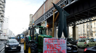 Un monde qui "marche sur la tête": récit d'une grande colère agricole