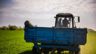 Ukraine's farmers risk death in bomb-strewn fields