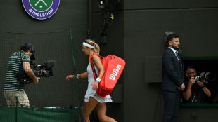 Cumprimentar adversário é 'decisão pessoal', segundo organizadores de Wimbledon